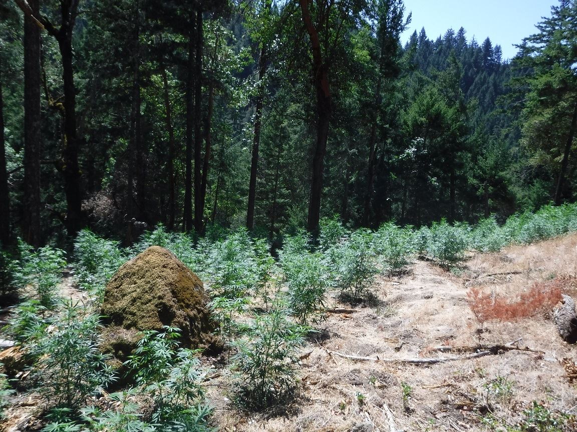 Search Warrant - Case 201603973